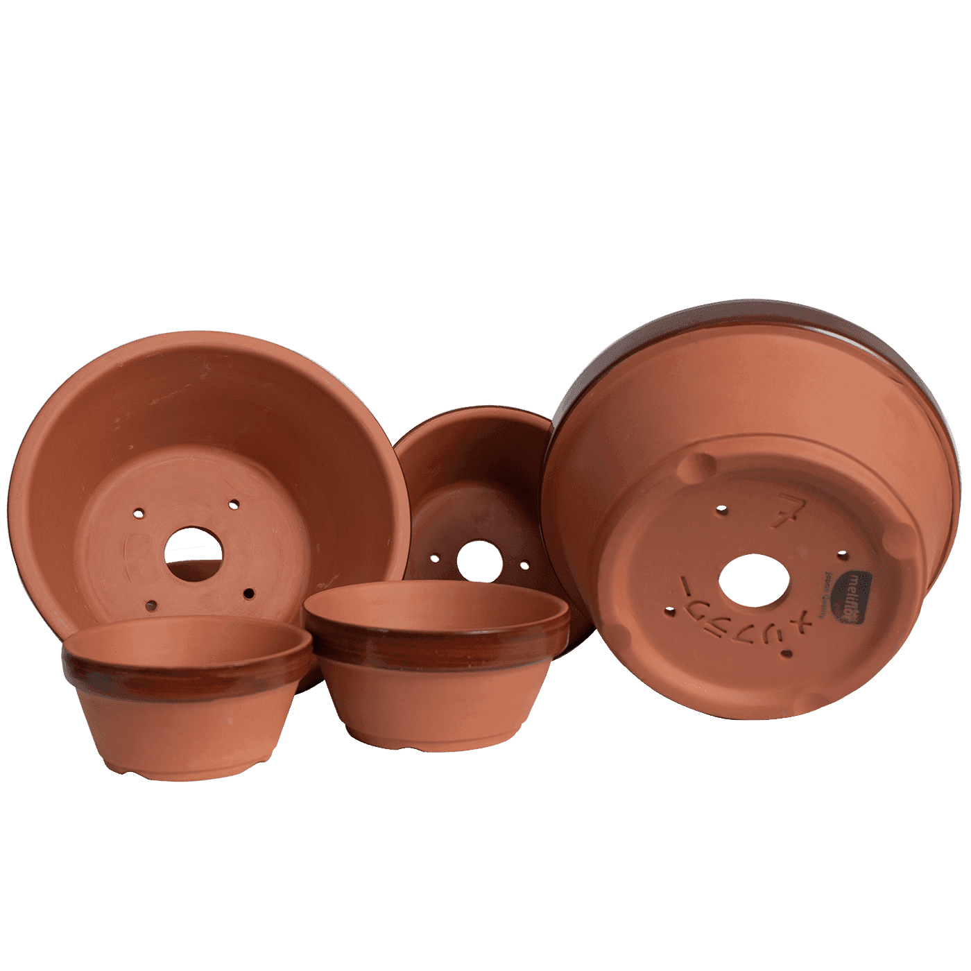 Meliflor Tiesto Prebonsai Terracota Meliflor Tiesto Prebonsai Terracota